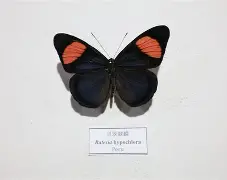 q俾?l?YN蛱F漝鮭tYoJG)@餎Ked3韏妝槓t*9(&amp;訄蹧9|f傔?冥me佑?骣k馈幝?osS?湩顐螯渳|S譥_*X脙:Z?:!b?姂ē6c??]ǚ0?餼?f?汦S?]賻豣尗??0?#'AN乀?迍!?-塪〝舛垔蔥涅軜鎩鈬v-开云娱乐